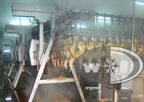 屠宰设备 屠宰设备